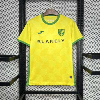 Norwich City F.C. . 2024-25